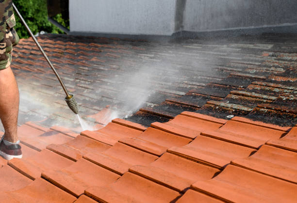 Best Affordable Pressure Washing  in Advance, MO