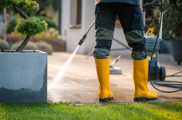 Best Pressure Washing Driveway  in Advance, MO